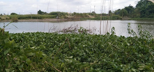 image-here